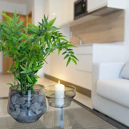 Plaza De La Feria Premium 公寓 *