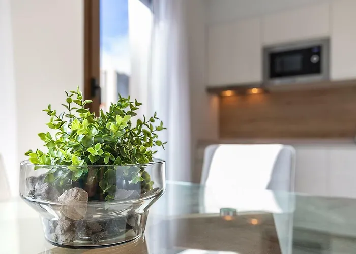 Plaza De La Feria Premium *