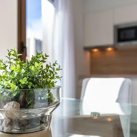 Plaza De La Feria Premium *